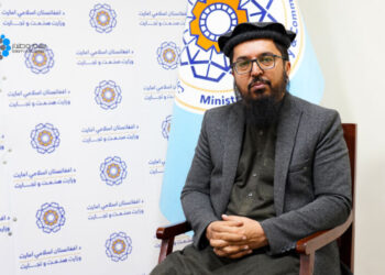افغان چارواکی: د چين اقتصادي پرمختګ د نړۍ د اقتصادي ودې د عمده انجن په توګه ډېرو هېوادونو ته فرصتونه رامنځته کوي