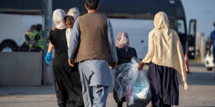 له پاکستان څخه د افغانانو یوه بله ډله المان ته ولېږدل شوه