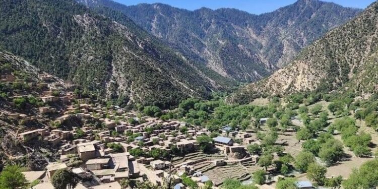 وانټوایګل کې په لومړي ځل مخابراتي شبکې فعالې شوې