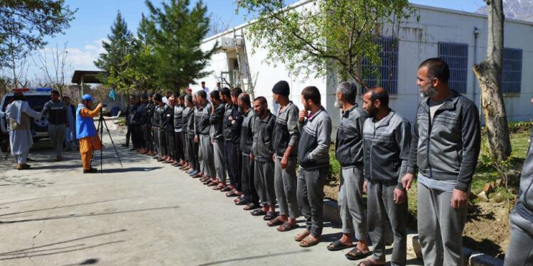 پروان کې د ۳۵ روږدو کسانو درملنه شوې ده