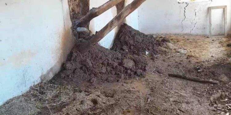 په پنجشېر کې سېلابونو خلکو ته ګڼ مالي زیانونه اړولي