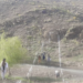 پکتیکا کې د یوه چکډېم د جوړولو چارې پیل شوې