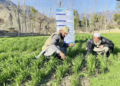 د خوړو او کرنې سازمان زرګونه افغان کروندګرو ته روزنه ورکوي