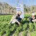 د خوړو او کرنې سازمان زرګونه افغان کروندګرو ته روزنه ورکوي