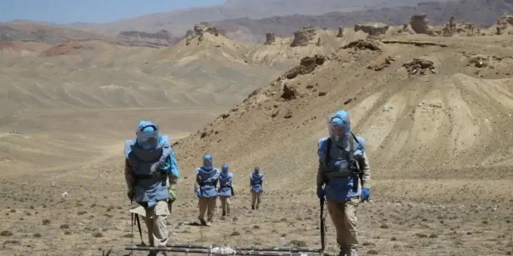 چارواکي: افغانستان کې دې د ناچاوده توکو کچه صفر ته ورسېږي