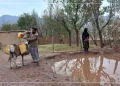 ملګري ملتونه: ۷۹ سلنه افغانان د څښاک پاکو اوبو ته لاسرسی نهلري