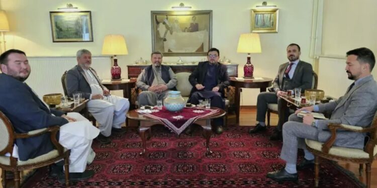ترکیې سفارت: افغانستان کې ۱،۲ میلیونه کسان د غالیو په تولید بوخت دي