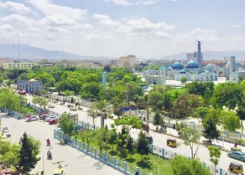 د خوړو او درملو ملي ادارې په بلخ کې څانګه پرانیستله
