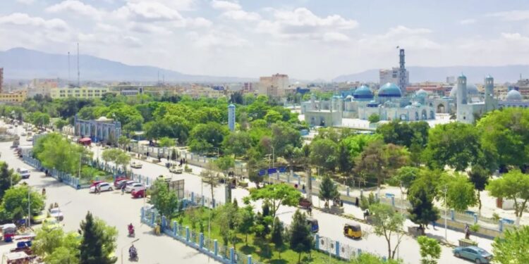 د خوړو او درملو ملي ادارې په بلخ کې څانګه پرانیستله