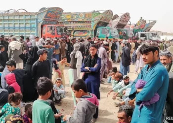 له پاکستانه د افغان کډوالو ایستل کېدو اندېښنې ډېرې کړې دي