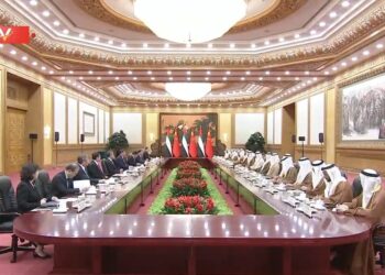 شي جين پينګ د عربي متحده اماراتو له ولسمشر سره وکتل
