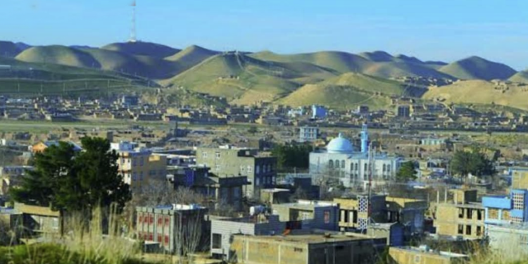 بادغیس کې ٢ حیواني کلینیکونه ګټې اخيستنې ته وسپارل شول