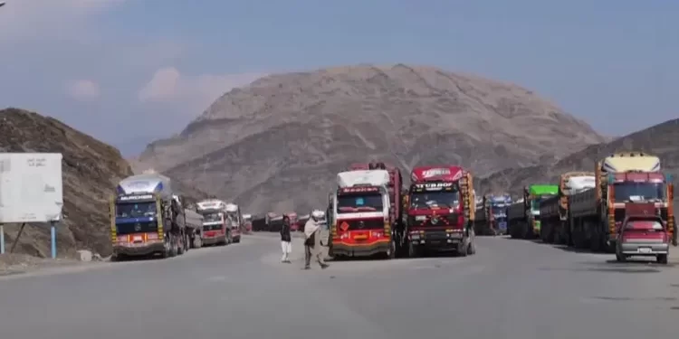 عزیزي: روان کال کې د صادراتو لپاره پوره چمتووالی لرو