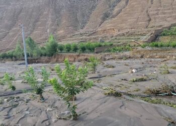 میدان‌ وردګو کې سېلابونو ۴۰۰ جریبه کرنیز فصلونه له‌منځه وړي