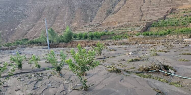 میدان وردګو کې سېلابونو ۴۰۰ جریبه کرنیز فصلونه لهمنځه وړي