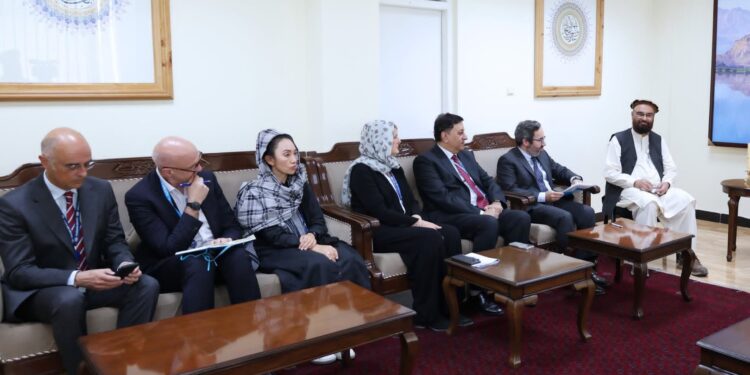 افغانستان کې د ځمکو خړوبولو لپاره د سولري پمپونو پروژه پیلیږي