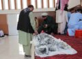پنجشېر کې په لومړي ځل استخراج شوي یاقوت وپلورل شول