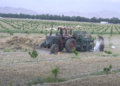 ننګرهار کې د کانال پر ځمکو د کرل شويو غنمو حاصلات زیات شوي