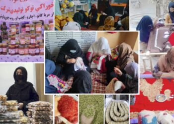 تېر کال ۳۰ زره افغان مېرمنو ته د کار جوازونه وېشل شوي