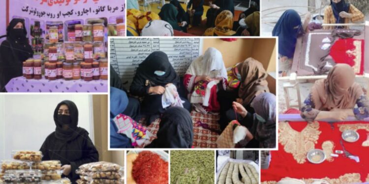تېر کال ۳۰ زره افغان مېرمنو ته د کار جوازونه وېشل شوي