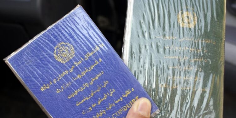 د جواز سیر او لایسنس الکترونیکي کېدو په طرحه خبرې شوې