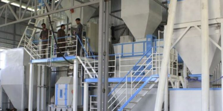 هلمند کې د چرګانو دانې د تولید یوې کارخونې فعالیت پیل کړی