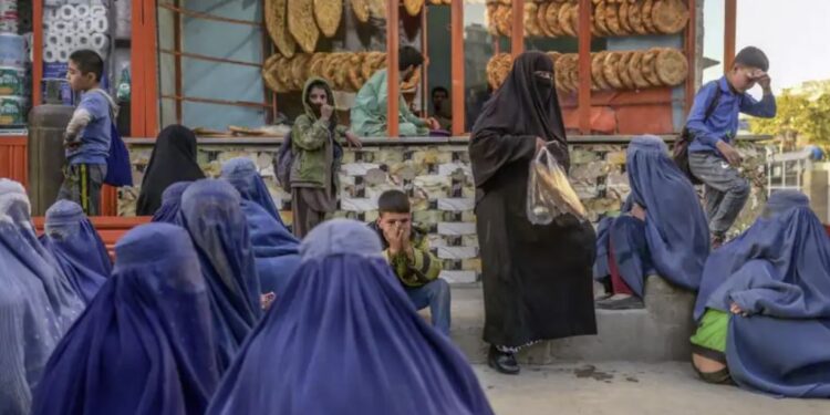 اوچا: په افغانستان کې مو د بودیجې کمښت له امله فعالیتونه کم شوي