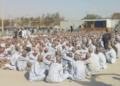 هېواد کې پر نشه ۲۰ زره روږدي کسان راټول شوي