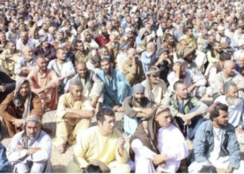 هرات کې د زرګونه روږدو کسانو درملنه شوې