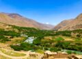 پنجشېر کې د کرنې په برخه کې ګڼې پروژې پلې شوي