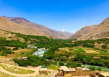 پنجشېر کې د کرنې په برخه کې ګڼې پروژې پلې شوي