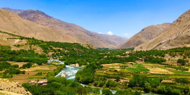 پنجشېر کې د کرنې په برخه کې ګڼې پروژې پلې شوي