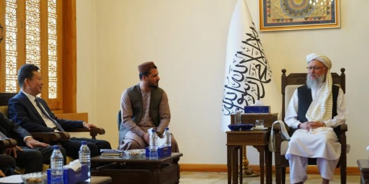 د چين د کلتور او سیلانیزو چارو وزارت معين او د تاریخي اثارو ملي ادارې رئیس لي چون له افغانستان څخه ليدنه وکړه