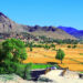 هېواد کې سږ کال د غنمو په حاصلاتو کې ۱۳ سلنه زیاتوالی راغلی