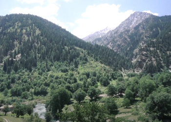 امنیتي مسوولین: هیچا ته په کونړ کې د ځنګلونو وهلو اجازه نه ورکوو