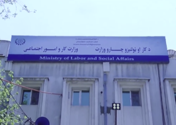 د حرفوي زده‌کړو برخه کې ۴ موسسو سره ۸ هوکړه لیکونه لاسلیک شول