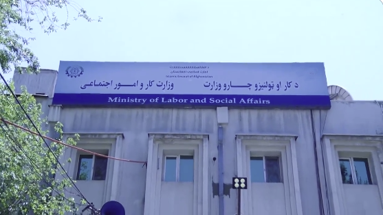 د حرفوي زدهکړو برخه کې ۴ موسسو سره ۸ هوکړه لیکونه لاسلیک شول