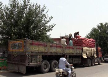 په لومړي ځل له کونړ څخه هند ته د پيازو صادرات پيل شول