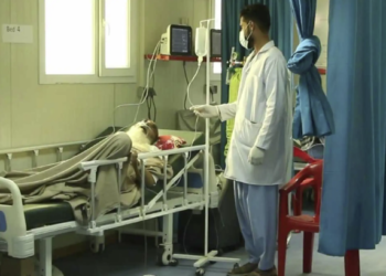 هېواد کې د کانګو ناروغۍ له امله ۲۰ تنه مړه شوي
