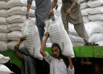 پاکستان به یولک او ۵۰ زره ټنه بوره افغانستان ته صادره کړي