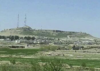 زابل کې د احصایې ریاست ۷ میلیونه افغانۍ عواید راټول کړي