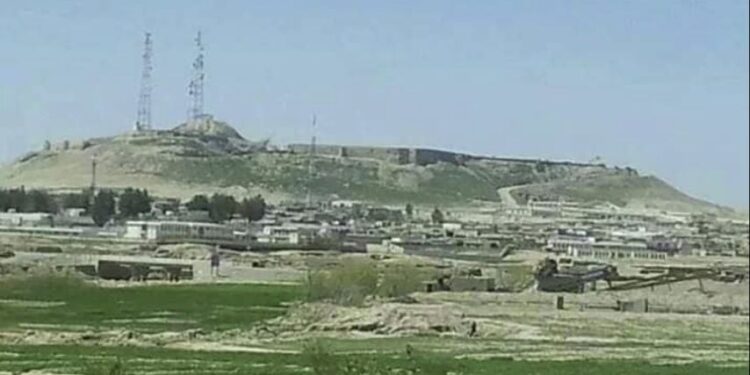 زابل کې د احصایې ریاست ۷ میلیونه افغانۍ عواید راټول کړي