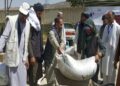 لوګر کې۲زره اړمنو مالدارانو ته د مرستې لړۍ پیل شوې