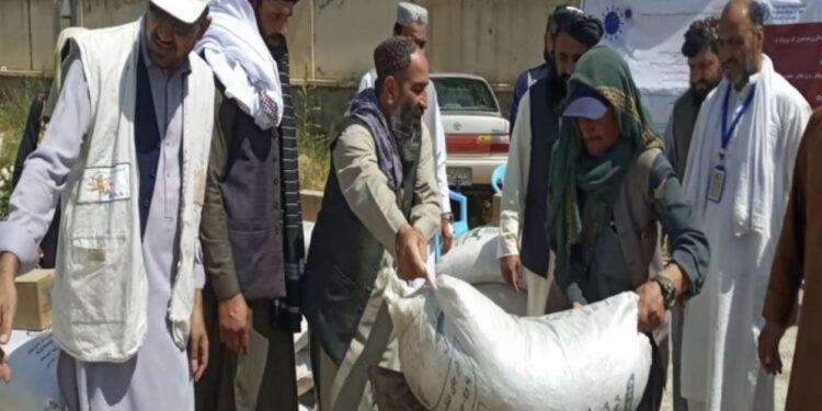 لوګر کې۲زره اړمنو مالدارانو ته د مرستې لړۍ پیل شوې