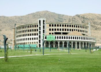 چارواکي: ودانیزو چارو کې دې له کورنيو تولیداتو ګټه واخیستل شي