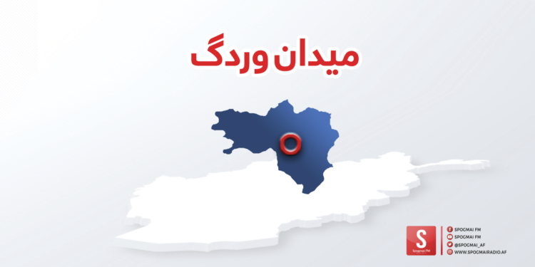 میدان وردګو کې د ترافیکي پېښې له امله ۵ کسانو ته مرګ ژوبله اوښتې