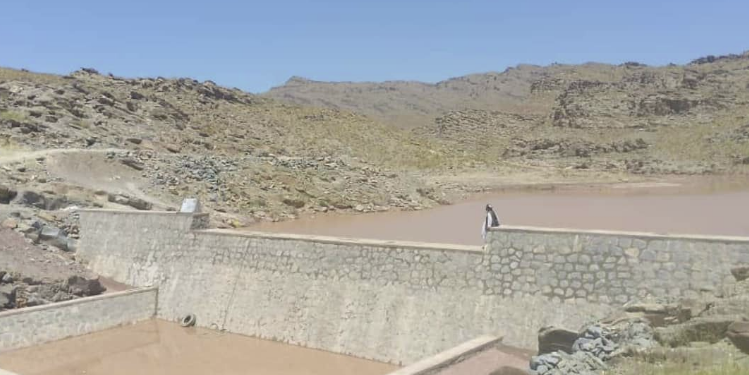 د پکتیکا په سرحوضه کې یو چکډېم ګټې اخیستنې ته وسپارل شو