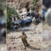 پاکستان کې د بس چپه کېدو له کبله ۲۹ تنه مړه شوي