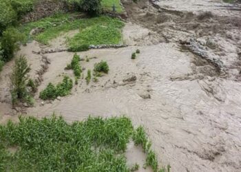 لوګر کې سېلابونو بزګرانو درانه مالي زیانونه اړولي دي