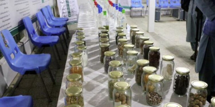 هرات کې د طبي بوټو درملو نندارتون جوړ شوی